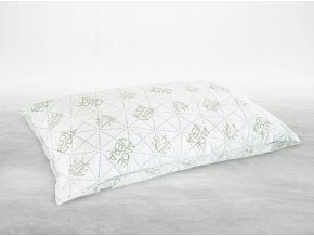 Polštář AloeVera1