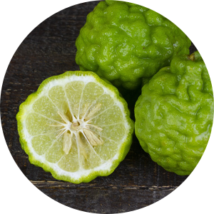 Bergamot