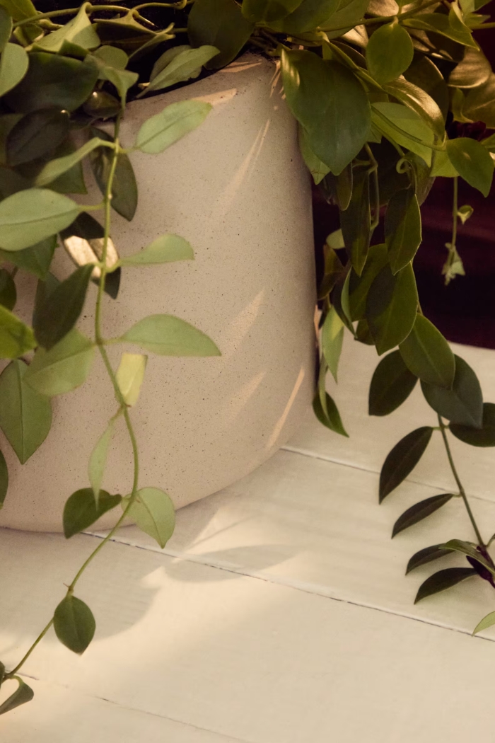 spodni_banner_kategorie_kvetinace