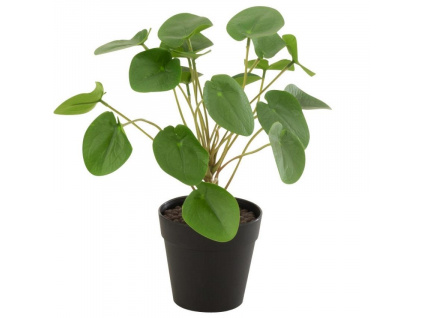 Umělá květina J-Line Maryath Pilea 28,5 cm