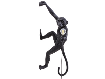 Černé venkovní nástěnné světlo Monkey