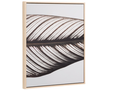 Foto-obraz kave home Foliae  50 x 60 cm