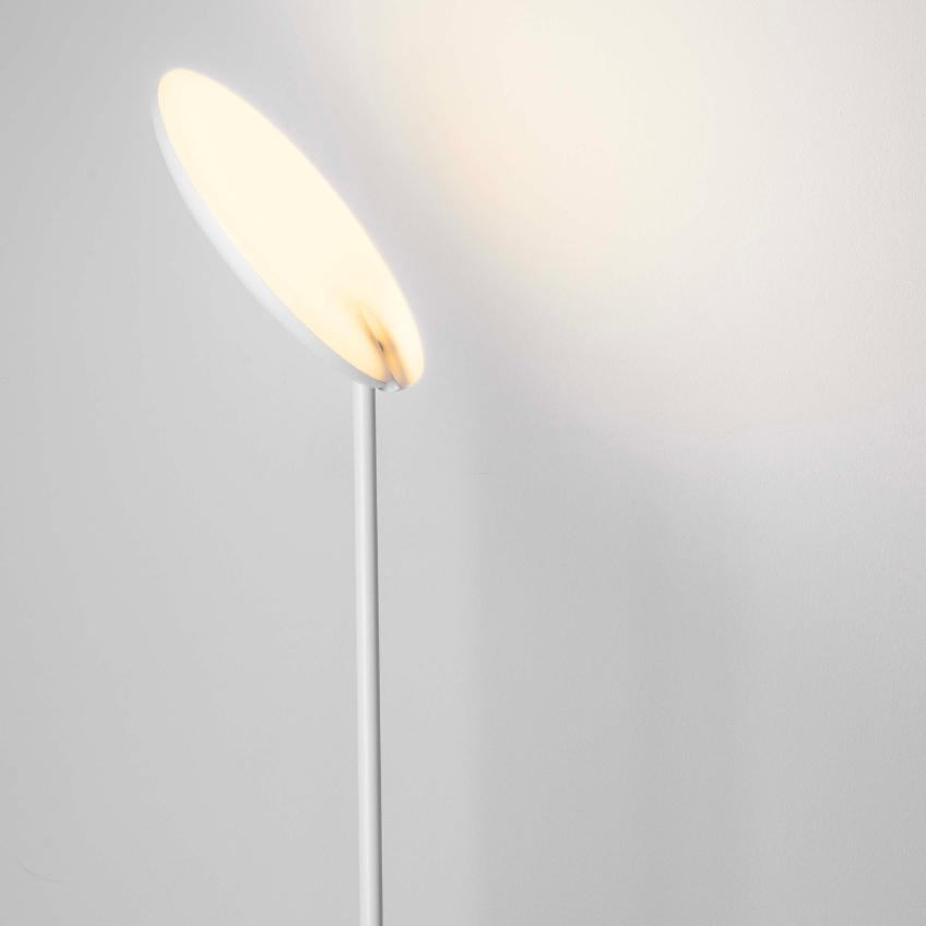 Bílá kovová stojací LED lampa Nova Luce Notos 205 cm