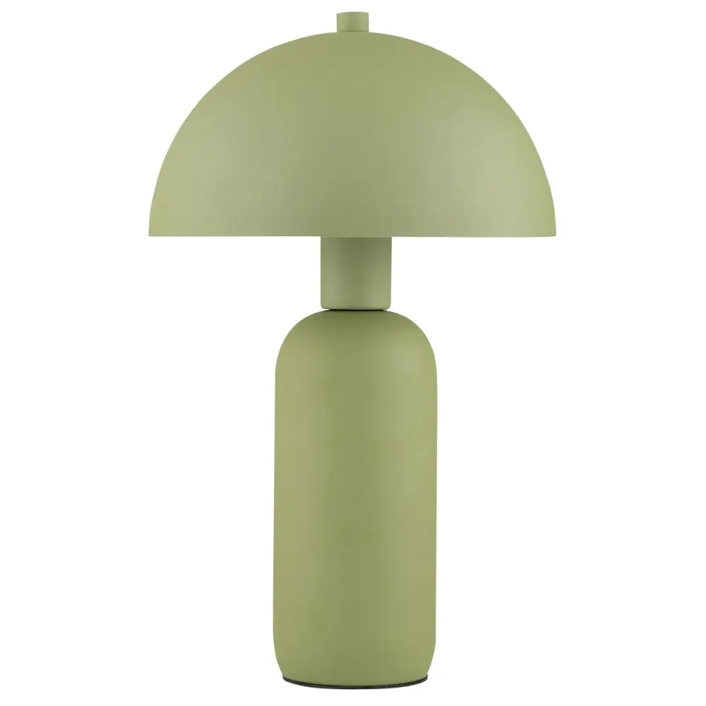 Nova Luce Zelená kovová stolní lampa Vannie