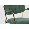 Zelená látková židle WLL Jolien s područkami -fv-interier-25
