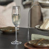 Sklenice na šampaňské Rill 230 ml -fv-interier-25
