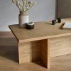 Dubový konferenční stolek Holger 120 x 60 cm -fv-interier-25