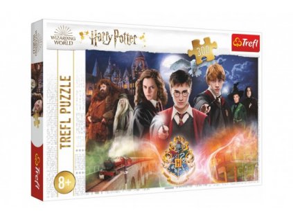 Puzzle Tajemství Harry Potter 300dílků 60x40cm v krabici 40x27x4cm