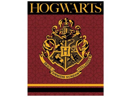 XL FLÍSOVÁ DEKA HARRY POTTER (Velikost uni)