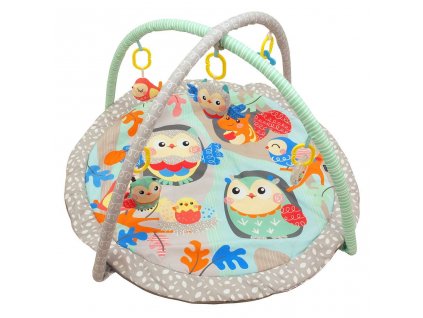 Hrací deka Baby Mix sovičky (Barva Tyrkysová)