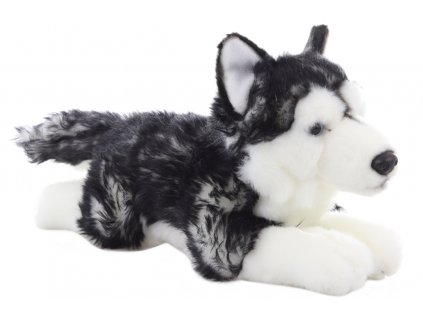 Plyš Husky ležící 35 cm