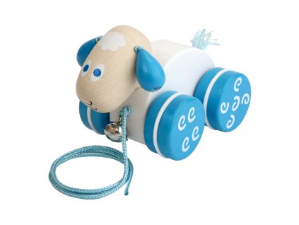 DE13565.pulltoy