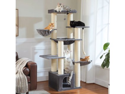 S102ebe0e057b4ad9a3002263ed9d2454i