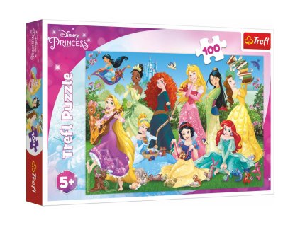 Puzzle Půvabné princezny/Disney 100 dílků 41x27,5cm v krabici 29x19x4cm
