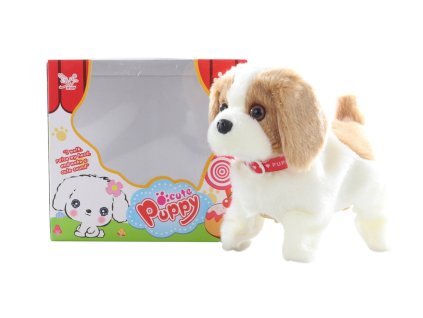 Pejsek hnědo-bílý chodící a dělající salta