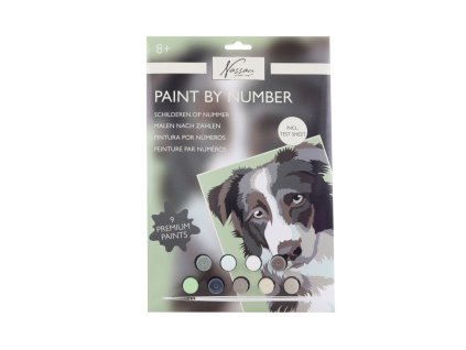 Malování podle čísel pes