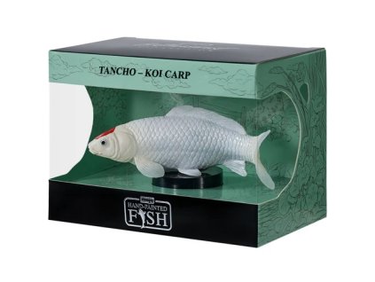 Mojo Kapr koi tancho v krabičce