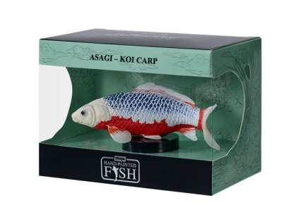 Mojo Kapr koi asagi v krabičce