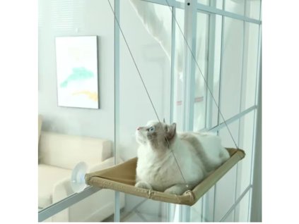 Snímek obrazovky 2026 01 23 081255