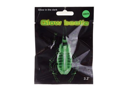 Svítící brouk