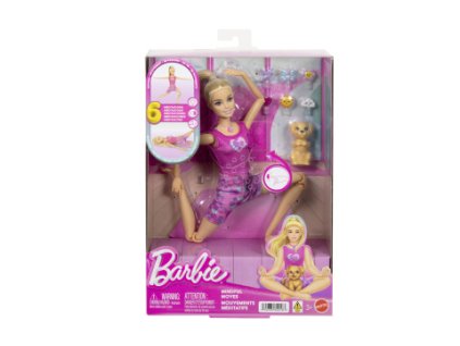 Barbie Meditační panenka JJN55