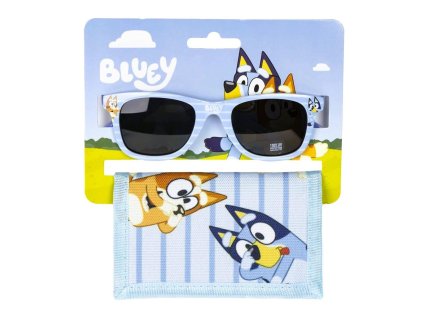 SOUPRAVA BRÝLE A PENĚŽENKA BLUYE (Velikost uni)