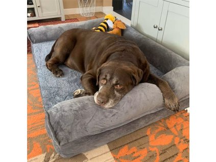 S701912556b8e442abccf76b90e7f6ee3y