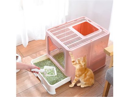 Snímek obrazovky 2026 01 31 171649