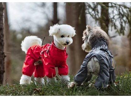 Snímek obrazovky 2026 02 10 091122