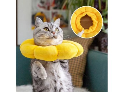 Snímek obrazovky 2026 02 12 192902