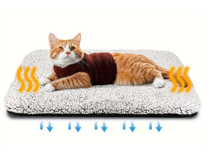 Snímek obrazovky 2026 02 14 165719