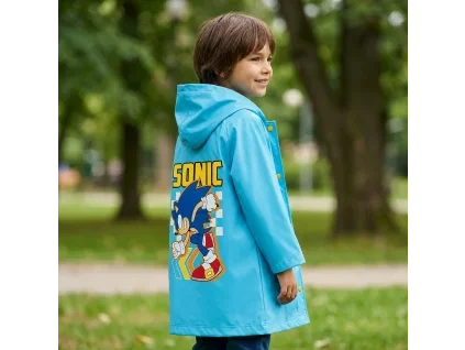144586 169sonic