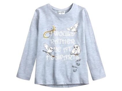 TRIKO HARRY POTTER (Velikost 110)