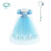 Elsa Costume Frozen Anna Dress Snow Queen Fancy Cosplay Dance Party Tutu Elegant Toddler Dress Up.jpg 640x640.jpg (3)