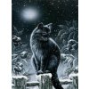 5D Diamond Painting Black Cat Full Diamond Mosaic Rhinestones Art Wall Decor Animal Cross Stitch Embroidery.jpg 640x640.jpg (1)