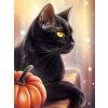 5D Diamond Painting Black Cat Full Diamond Mosaic Rhinestones Art Wall Decor Animal Cross Stitch Embroidery.jpg 640x640.jpg (2)