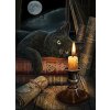 5D Diamond Painting Black Cat Full Diamond Mosaic Rhinestones Art Wall Decor Animal Cross Stitch Embroidery.jpg 640x640.jpg (3)