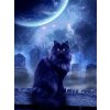 5D Diamond Painting Black Cat Full Diamond Mosaic Rhinestones Art Wall Decor Animal Cross Stitch Embroidery.jpg 640x640.jpg (4)