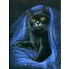 5D Diamond Painting Black Cat Full Diamond Mosaic Rhinestones Art Wall Decor Animal Cross Stitch Embroidery.jpg 640x640.jpg (6)