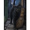 5D Diamond Painting Black Cat Full Diamond Mosaic Rhinestones Art Wall Decor Animal Cross Stitch Embroidery.jpg 640x640.jpg (12)