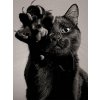 5D Diamond Painting Black Cat Full Diamond Mosaic Rhinestones Art Wall Decor Animal Cross Stitch Embroidery.jpg 640x640.jpg (13)