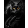 5D Diamond Painting Black Cat Full Diamond Mosaic Rhinestones Art Wall Decor Animal Cross Stitch Embroidery.jpg 640x640.jpg (14)