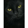 5D Diamond Painting Black Cat Full Diamond Mosaic Rhinestones Art Wall Decor Animal Cross Stitch Embroidery.jpg 640x640.jpg (15)