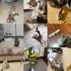 Handfree Bird Feather Cat Wand with Bell Powerful Suction Cup Interactive Toys for Cats Kitten Hunting.jpg