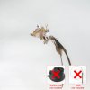 Handfree Bird Feather Cat Wand with Bell Powerful Suction Cup Interactive Toys for Cats Kitten Hunting.jpg 640x640.jpg (5)