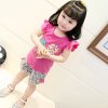 S16c6aa5d93d04f938b1516ca0dee691a3 (kopie)