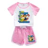 PAW Patrol Boys Clothes Suit Summer Cartoon Short Sleeve T Shirt Top Shorts 2Pcs Baby Boys.jpg 640x640.jpg (2)