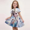 Dívčí princeznovské šaty Elsa z Ledového království s 3D potiskem