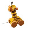 DE14546.pulltoy