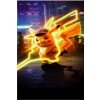 Obrázek na plátně Pokémon Movie, více motivů (bez rámu)